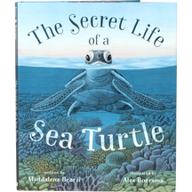 The Secret Life of a Sea Turtle