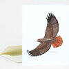 A folded greeting card featuring an illustration of a red-tailed hawk in flight with a reddish tail and small printed species text near the lower right.