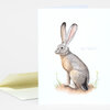 A folded greeting card with a watercolor-style illustration of a black-tailed jackrabbit standing in profile, with small handwritten species text beside it.