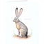 Product Image for alex-boersma-black-tailed-jack-rabbit-greeting-card
