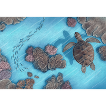Green Sea Turtle Swimming