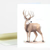 A folded greeting card featuring a watercolor illustration of a mule deer buck with large antlers, with the small printed text "MULE DEER" and a faint handwritten-style scientific name beneath it.