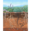 Product Image for alex-boersma-sagebrush-steppe-print