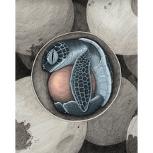 Unhatched Green Sea Turtle 