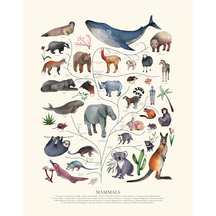 Tree of Life: Mammals (Beige)