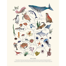 Tree of Life: Sea Life (Beige)