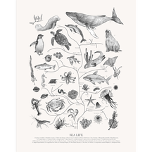 Tree of Life: Sea Life (Black and White)