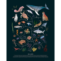 Tree of Life: Sea Life (Dark)