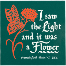 I Saw The Light