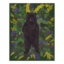 Black Bear with Oregon Grape