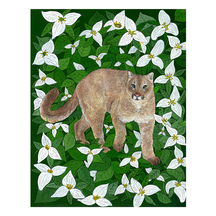 Cougar with Western Trillium