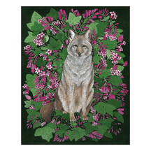 Coyote with Currant