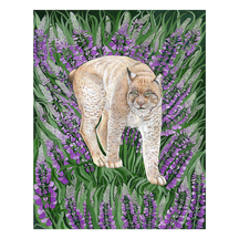 Lynx with Purple Lupine