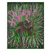 Wolverine with Fireweed