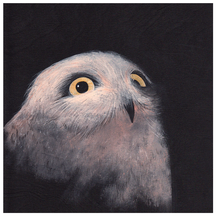 Owlet Night