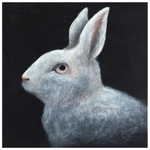 Rabbit Night