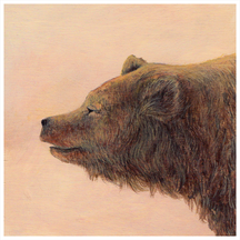Sunset Grizzly