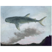 Whale Shark, Forest