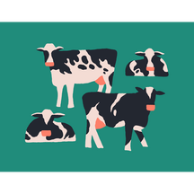 Holstein Harmony