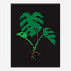 A minimalist botanical print showing three green monstera leaves on a black background with a small brown vine detail near the bottom.