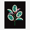 A stylized print of a variegated ficus leaf and stem in teal, cream, pink, and red on a black background.
