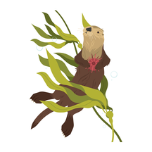 Sea Otter
