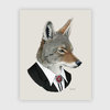 Coyote