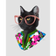 Product Image for berkley-fashion-cat-print