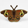An enamel pin shaped like a brown moth with wide outstretched wings, yellow and red eye spots, and gold-tone edging.