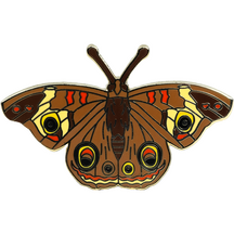 Moth