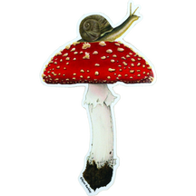 Mushroom