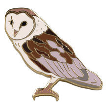 Barn Owl