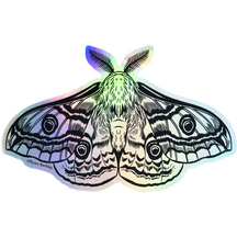 Prismatic Moth