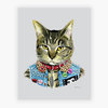Punk Cat