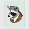 Raccoon