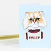 A greeting card featuring an illustrated fluffy cat with a stern face wearing a shirt that says "sorry".