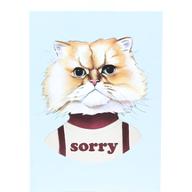 Sorry Cat
