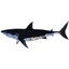 Product Image for berkley-shark-sticker