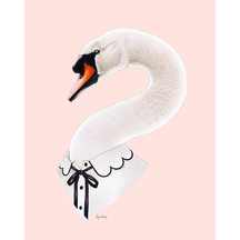 Swan