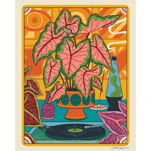 Caladium