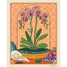 Orchid