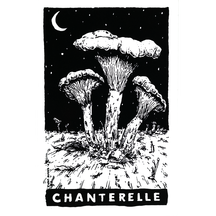Chanterelle