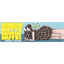 Product Image for chris-adams-mushroom-butts-drive-me-nuts-bumper-sticker