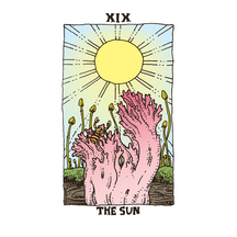 The Sun