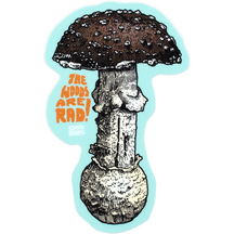 The Woods Are Rad - Amanita