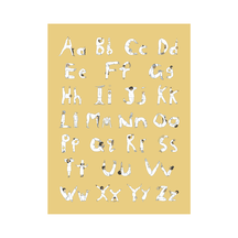 ABC (Mustard)