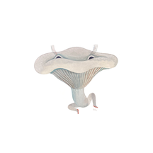 Sentient Blue Oyster