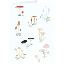 Ivo's Mushrooms