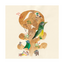 Product Image for estee-zales-african-emerald-cuckoo-square-bird-print