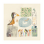 Product Image for estee-zales-african-pygmy-duck-square-bird-print